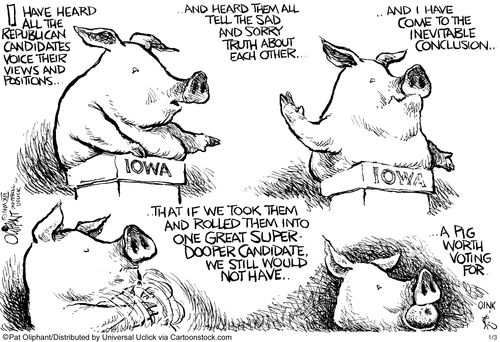 I have heard all the Republican candidates voice their views and positions...and heard them all tell the sad and sorry truth about each other...'