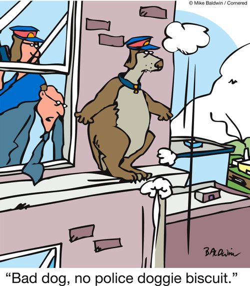 'Bad dog, no police doggy biscuit.'