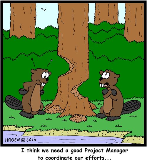 'I think we need a good Project Manager to coordinate our efforts...'
