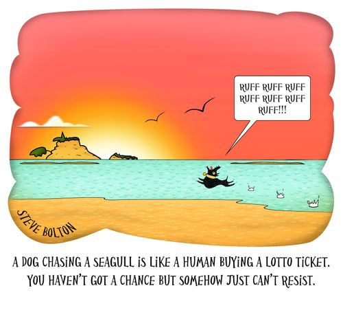 A dog chasing a seagull is like a human buying a lotto ticket. You haven't got a chance but somehow just can't resist.