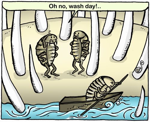 'Oh no, wash day!..'
