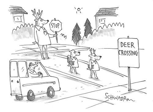 Little deers