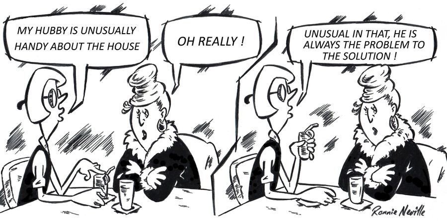 'My hubby is unusually handy about the house. . . unusual in that, he is always the problem to the solution!'