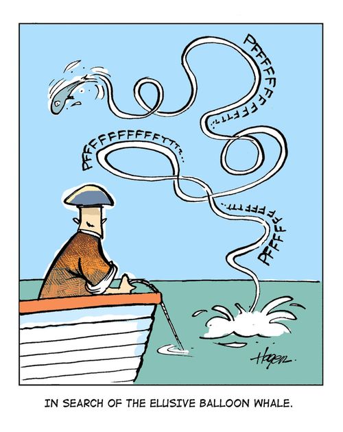 In search of the elusive balloon whale.