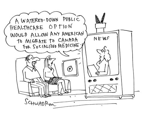 'A watered down public healthcare option would allow any American to migrate to Canada for socialized medicine.'