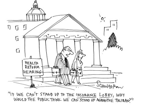 'If we can't stand up to the insurance lobby, why would the public think we can stand up against the Taliban?'