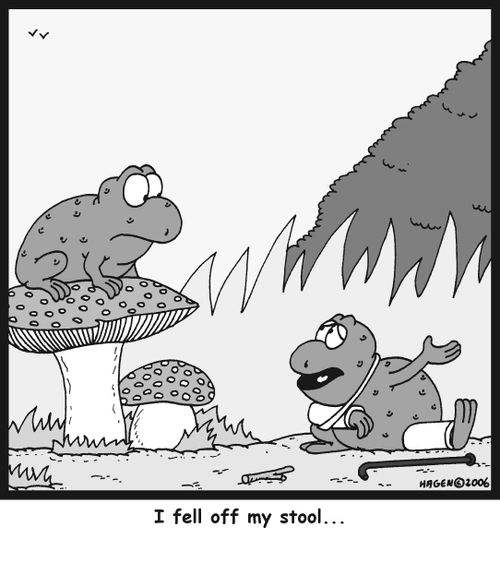 'I fell off my stool...'