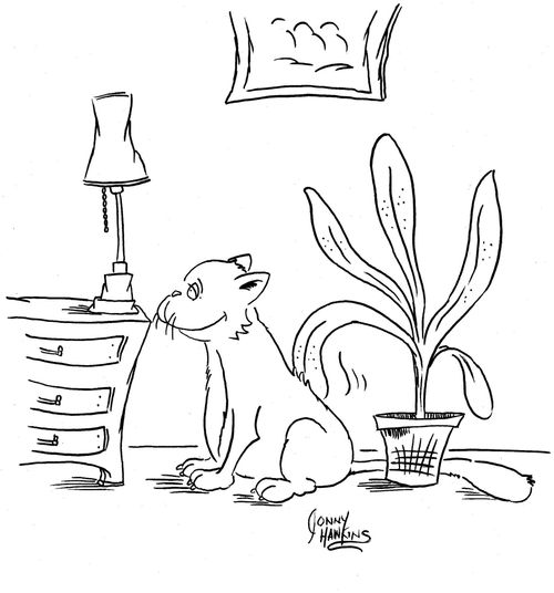 Cat being licked by plant.