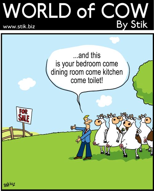...and this is you bedroom come dining room come kitchen come toilet!