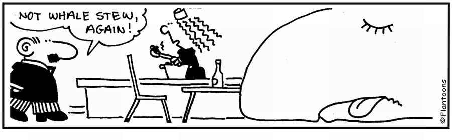 'Not whale stew again.' 