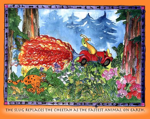 The Slug Replaces the Cheetah as the Fastest Animal on Earth.
