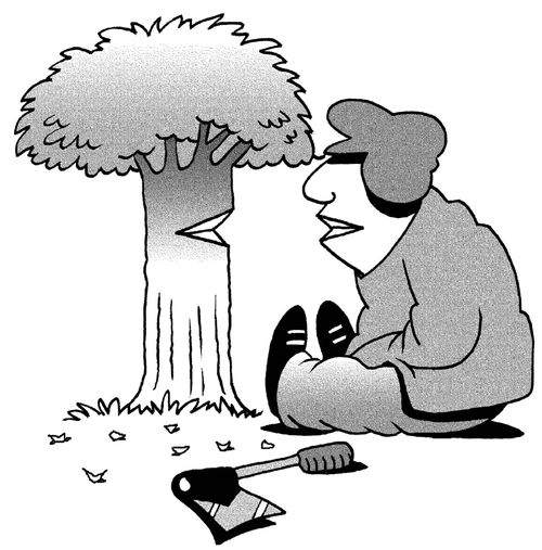 Man talking to a tree.