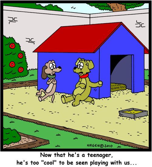 'Now that he's a teenager, he's too 'cool' to be seen playing with us...'