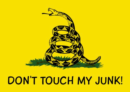 DON'T TOUCH MY JUNK!