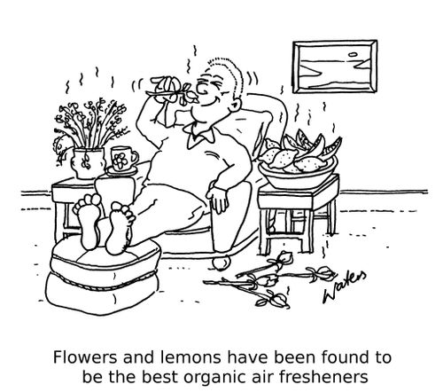 Flowers and lemons have been found to be the best organic air fresheners.
