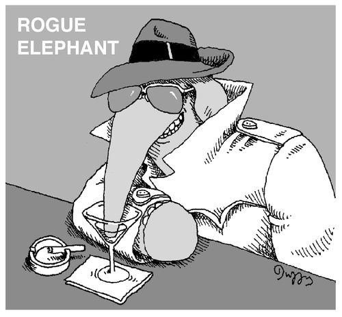 Rogue Elephant.