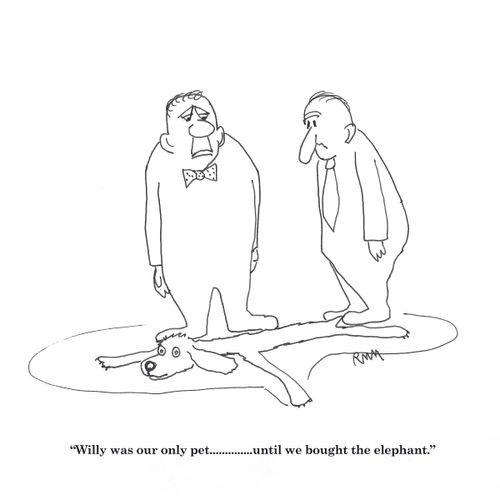 Willy was our only pet until we bought the elephant.