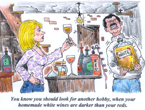 'You know you should look for another hobby, when your homemade white wines are darker than your reds.'