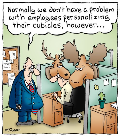 'Normally we don't have a problem with employees personalizing their cubicles, however...'