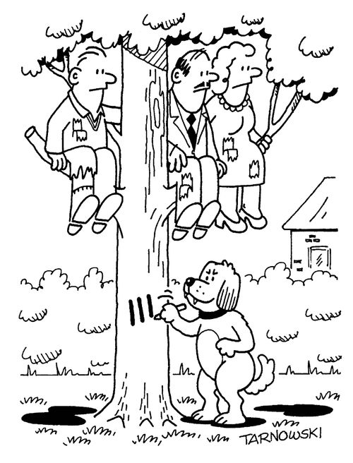 Dog chasing people up a tree and keeping score.