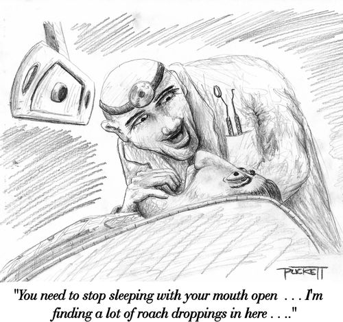 'You need to stop sleeping with your mouth open . . . I'm finding a lot of roach droppings in here . . .'