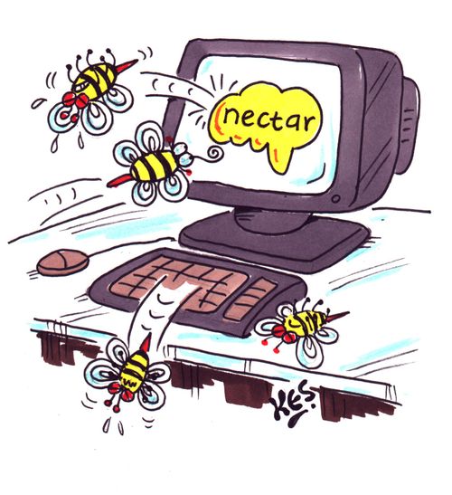 Bees can't get onto the Nectar website.