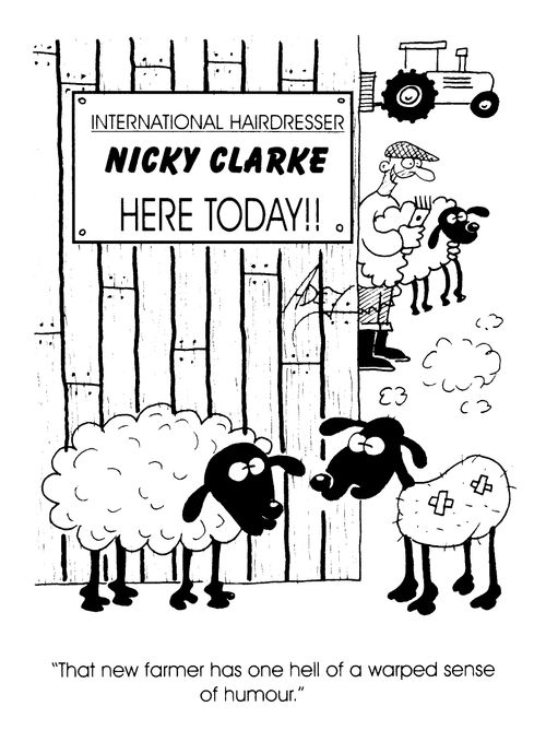 Nicky Clarke sheep shearer
