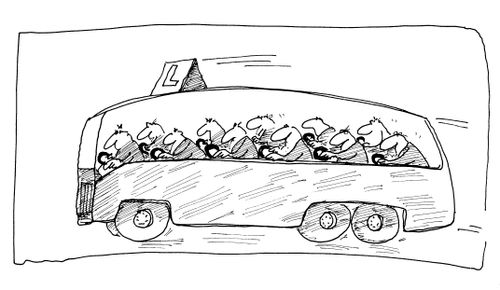 Learner Drivers