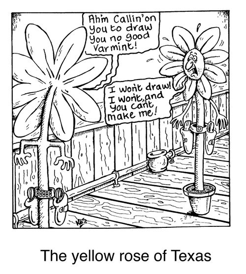 'The yellow rose of Texas'
