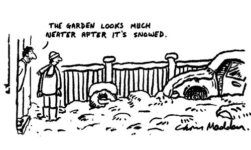 "The garden looks much neater after it's snowed."