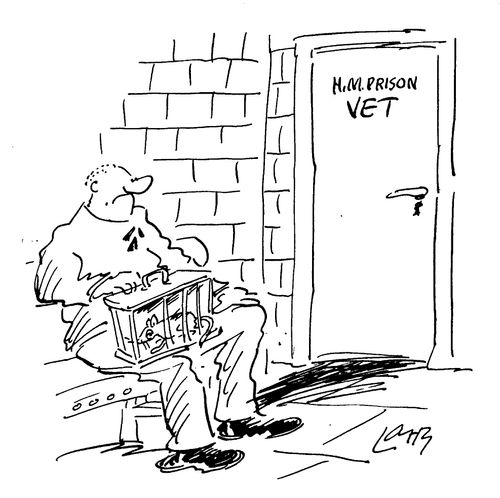 HM Prison Vet