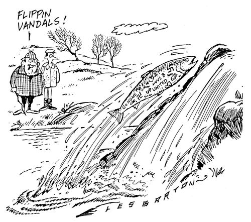 Graffitied salmon, "Flippin vandals!"