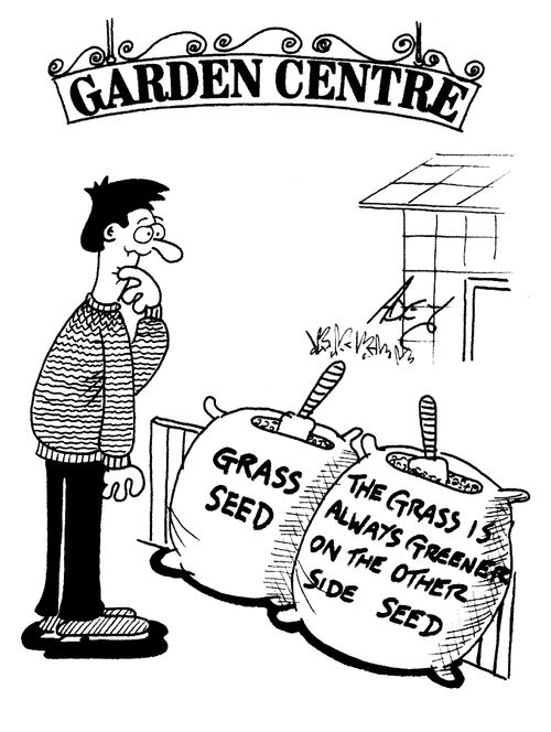 'The grass is always greener on the other side seed'.