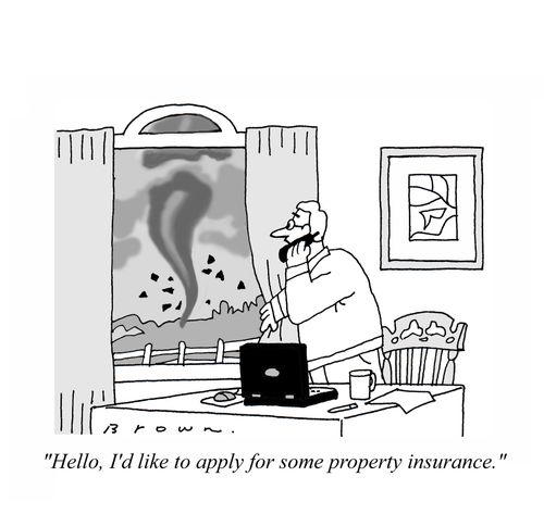 'Hello, I'd like to apply for some property insurance.'