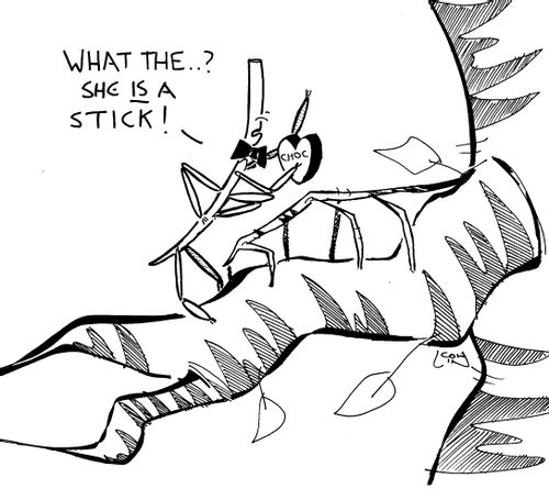 'What the..? She IS a stick!'