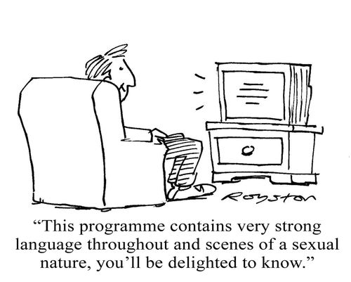 TV says: 'This programme contains very strong language throughout and scenes of a sexual nature, you'll be delighted to know.'