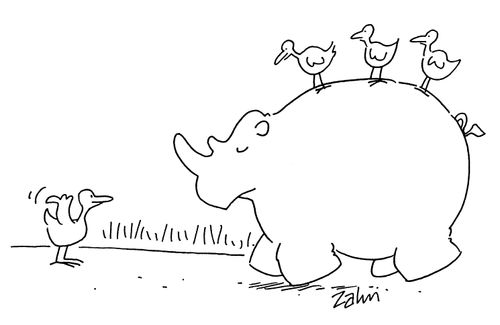 Bird guiding rhino.