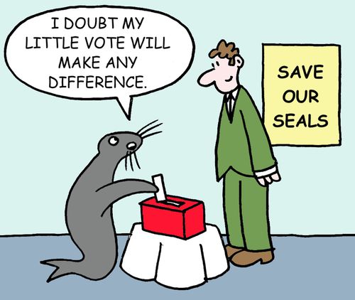 Save our seals - "I doubt my little vote will make any difference."