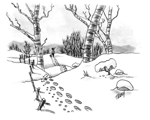 Winter walk.
