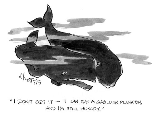 'I don't get it - I can eat a gazillion plankton, and I'm still hungry.'