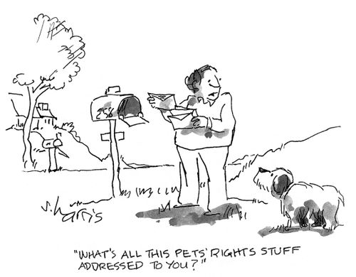 'What's all this pet's rights stuff addressed to you?'