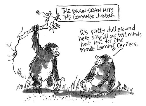The Brain Draw hits the Gomango Jungle - 'It's pretty dull around here since all our best minds have left for the primate learning centers.'