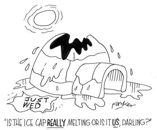 'Is the ice cap REALLY melting or is it US, darling?'