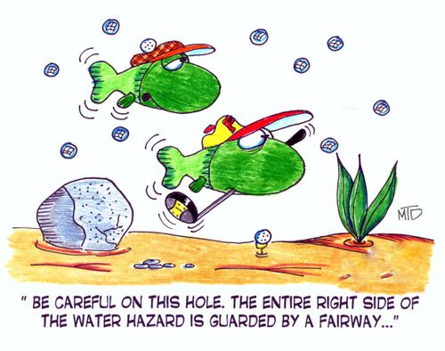 'Be careful on this hole. The entire right side of the water hazard is guarded by a fairway...'