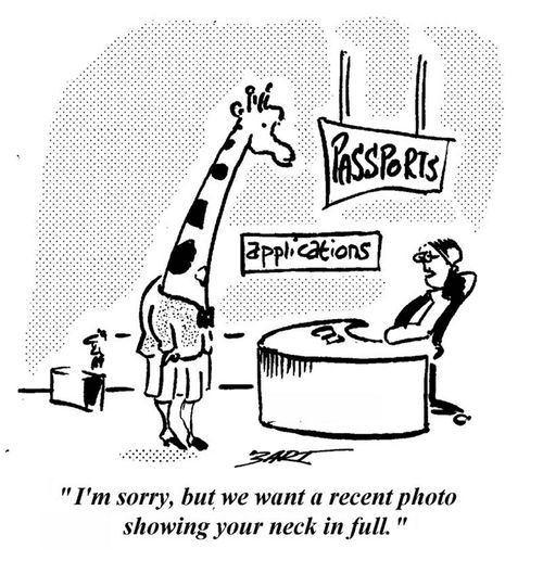 "I'm sorry, but we want a recent photo showing your neck in full."