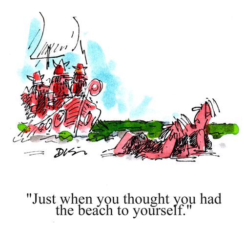'Just when you thought you had the beach to yourself.'