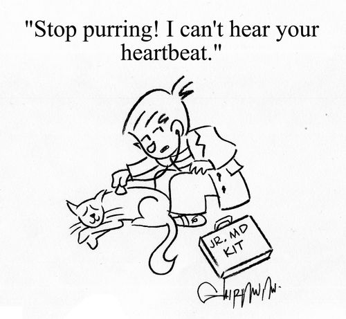'Stop purring I can't hear your heart beat.'