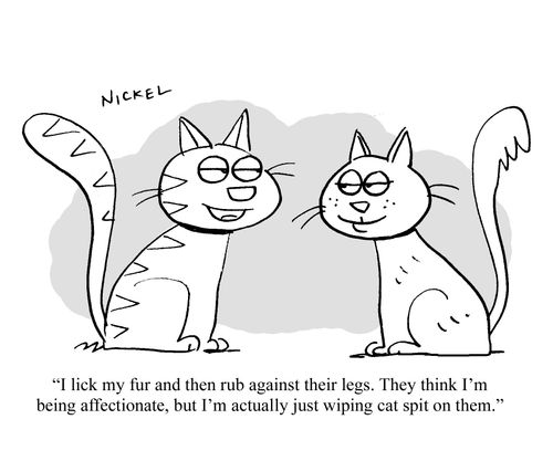 "I lick my fur and then rub against their legs. They think I'm being affectionate, but I'm actually just wiping cat spit on them."
