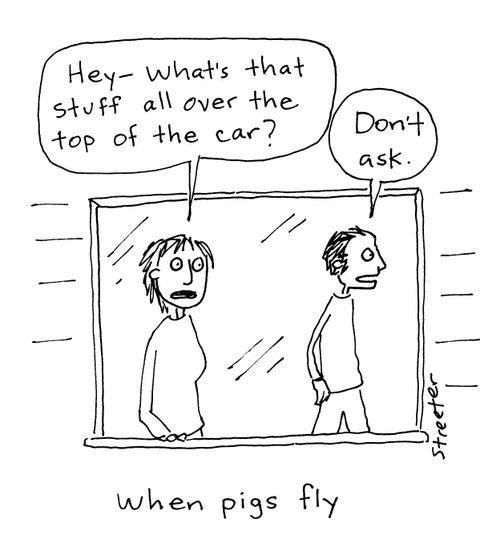 When pigs fly.