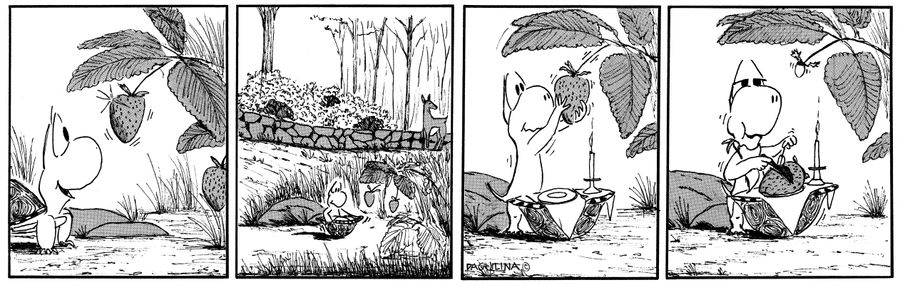Iggy Turtle Strawberry Fields...